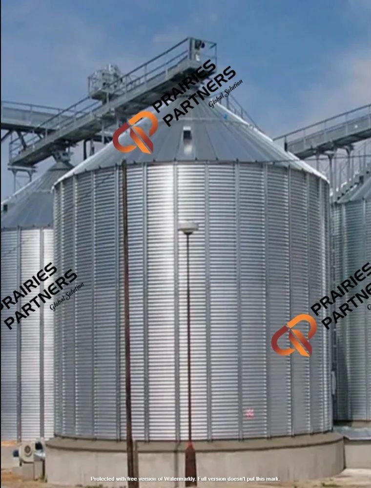 Rice Storage Silo - Prairies Partners Global Solution