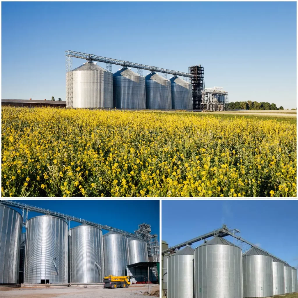 Grain Storage Silos