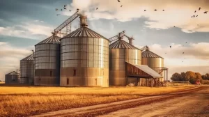 Read more about the article What is Silo ? and What is Grain Silo ?