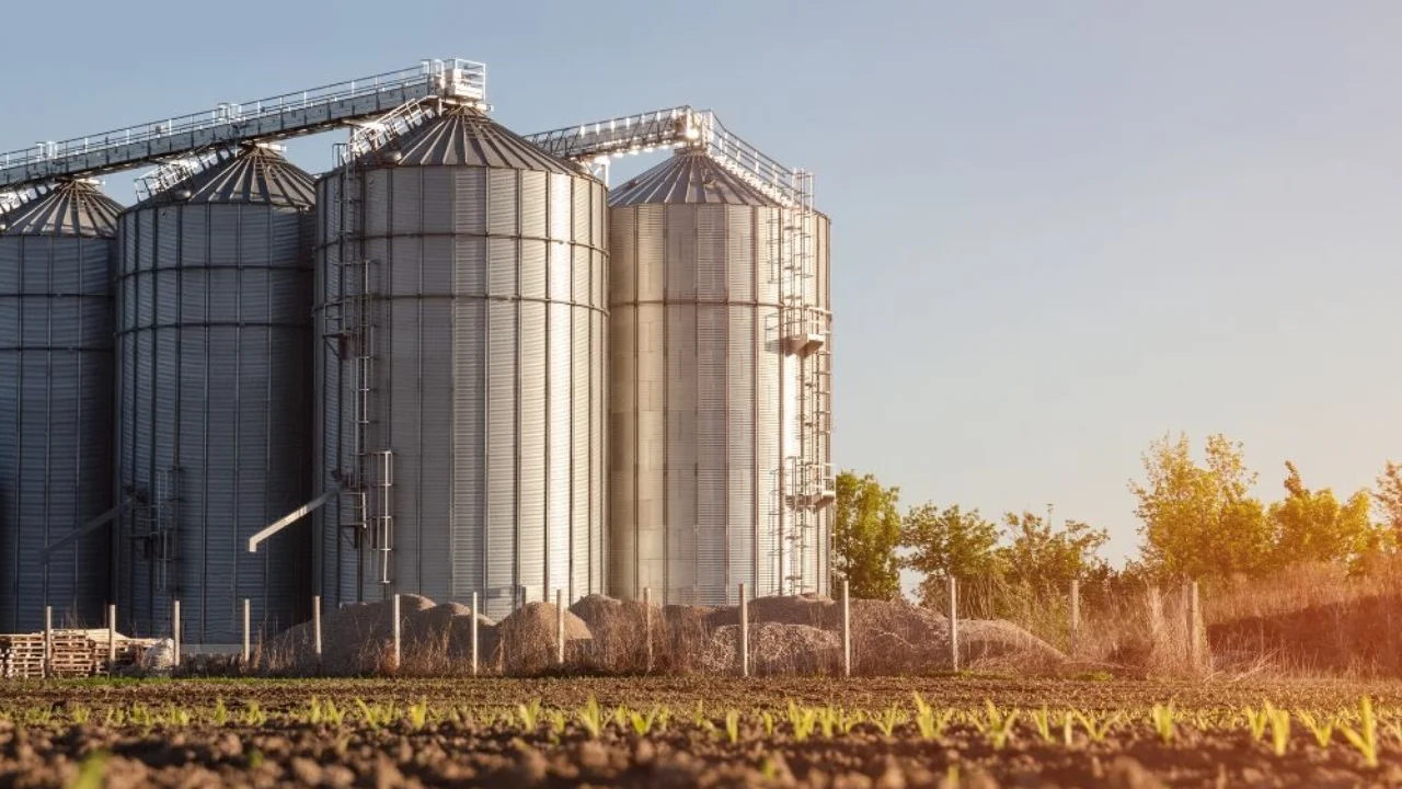 Read more about the article What’s the Difference Between Grain Bins and Silos?